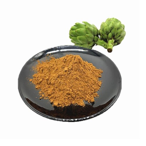 Artichoke Extract (Cynara Scolymus Extract)