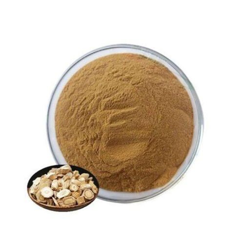Ban Lan Gen Extract (Isatis Indigotica Extract)