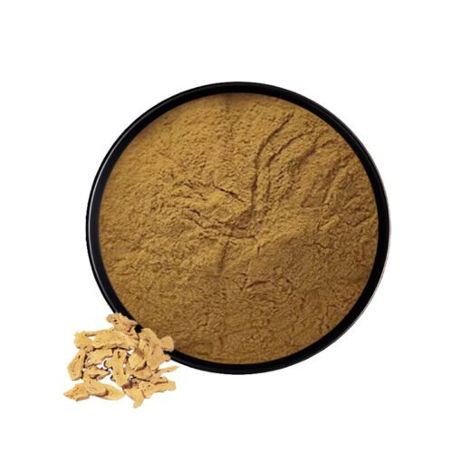 Atractylodes Macrocephala Extract (Bai Zhu Extract)