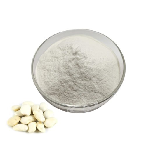 White Kidney Bean Extract (Phaseolamin Extract)