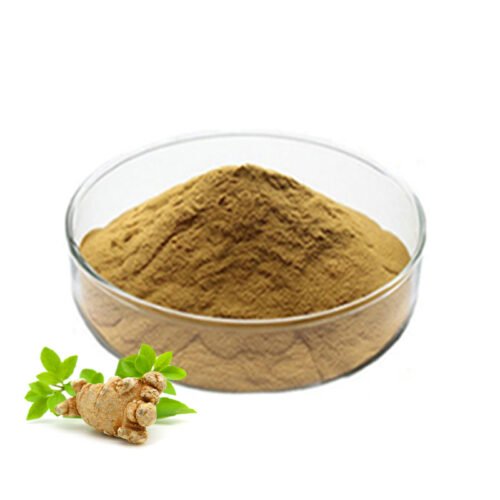 Notoginseng Extract (San Qi Extract)