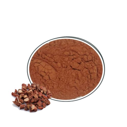 Salvia Miltiorrhiza Extract (Danshen Extract)