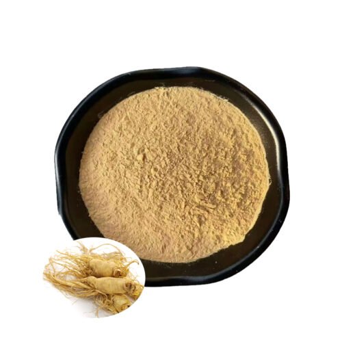 Ginseng Extract
