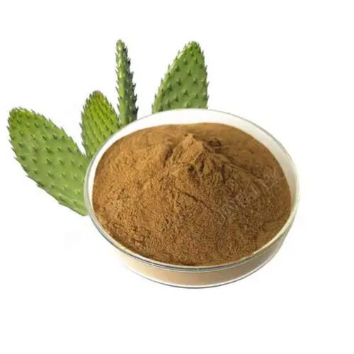 Cactus Extract (Prickly Pear Extract)