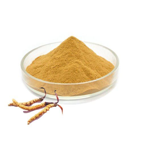 Cordyceps Sinensis Extract