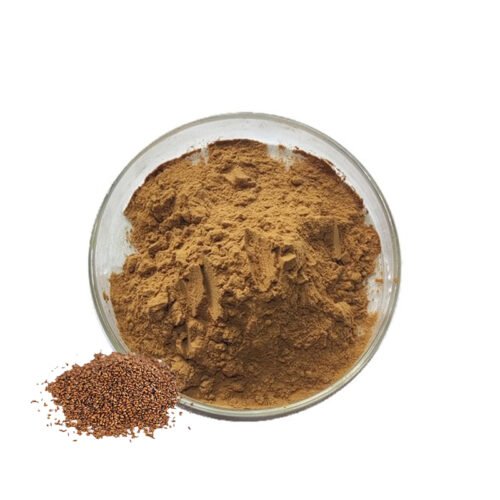 Cassia Seed Extract (Jue Ming Zi Extract)