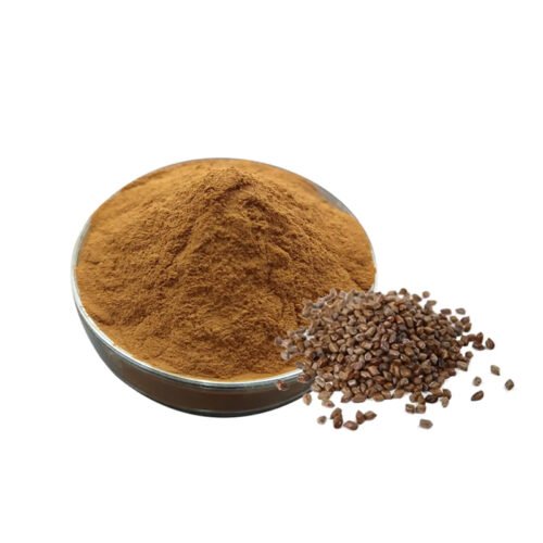 Cassia Seed Powder (Jue Ming Zi Powder)