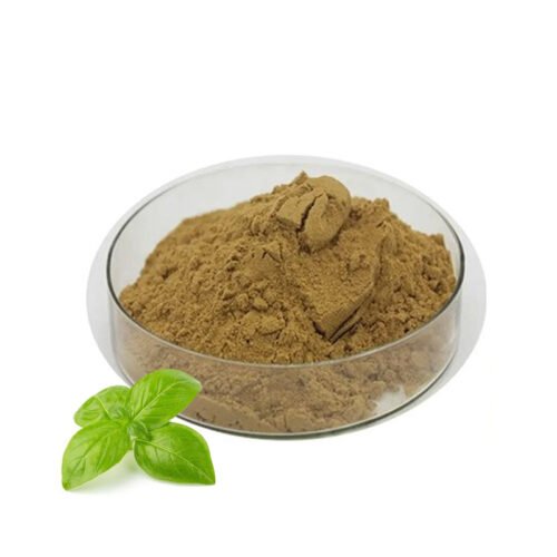 Holy Basil Extract (Tulsi Extract)