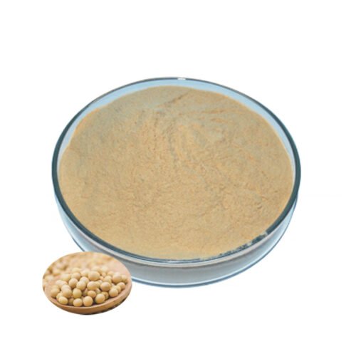 Soybean Extract