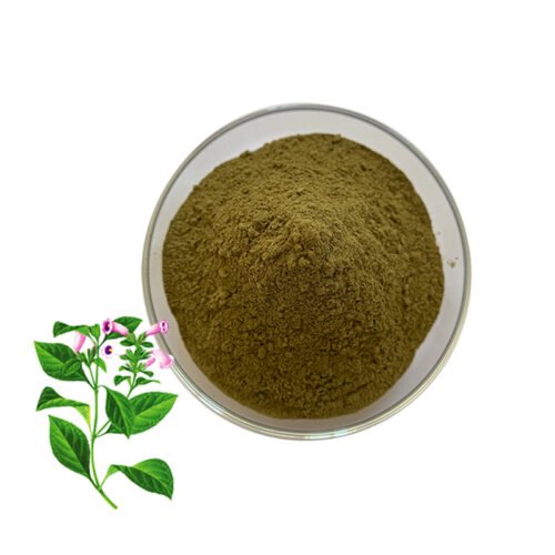 Daqingye Extract (Folium Isatidis Extract)
