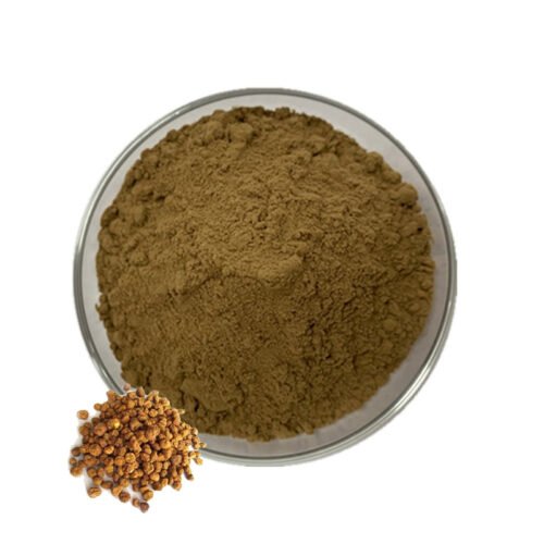 Corydalis Extract (Yan Hu Suo Extract)