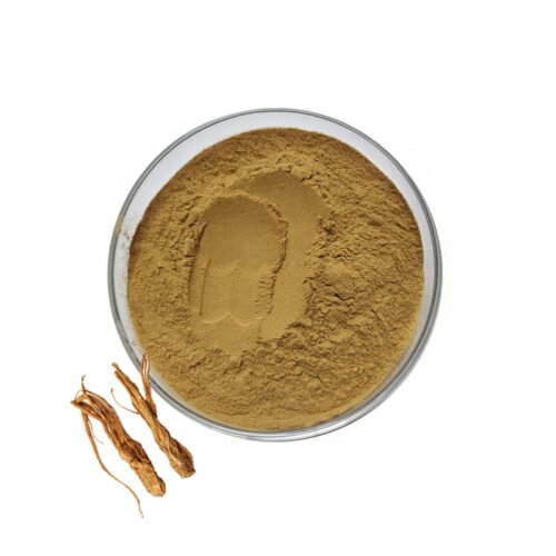 Angelica Sinensis Extract (Dong Quai Extract)