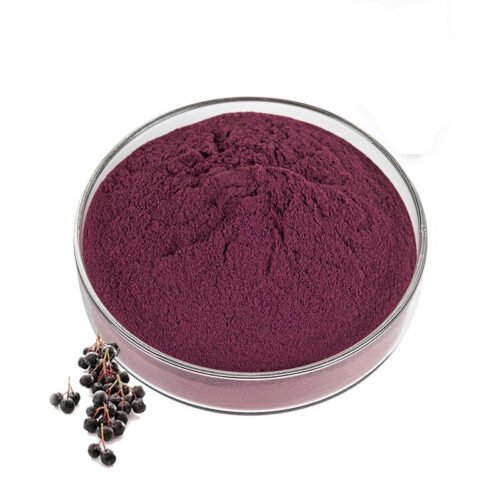 Elderberry Extract