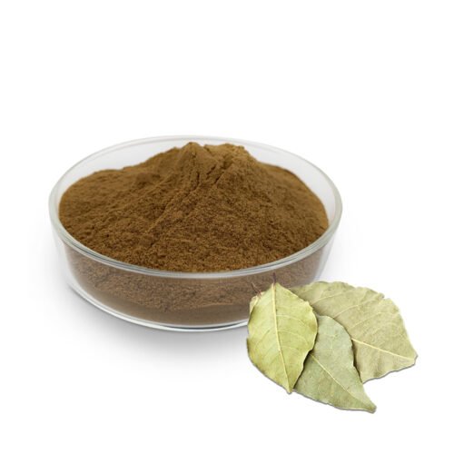 Loquat Leaf Extract