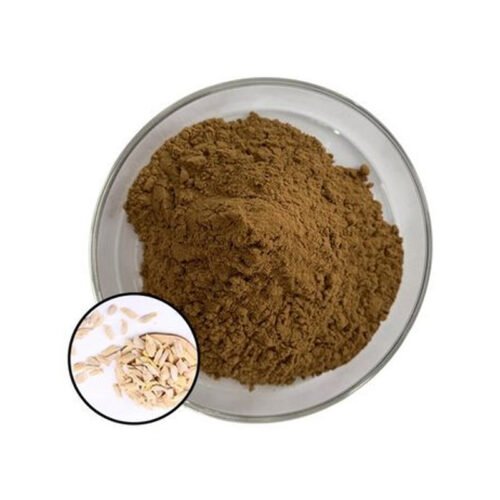 Grapefruit Seed Extract