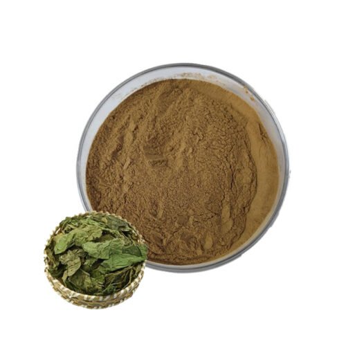 Mulberry Leaf Extract