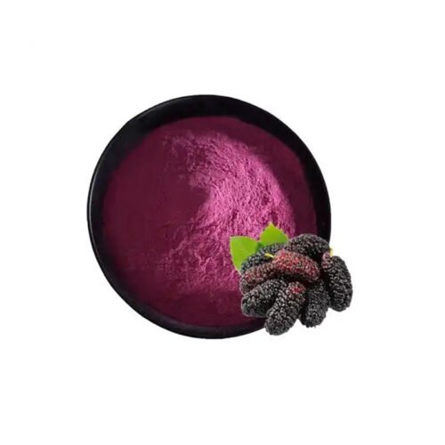 Mulberry Fruit Powder