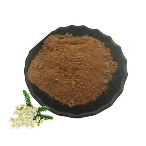 Yarrow Extract