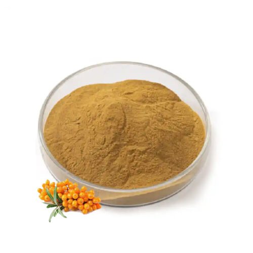 Sea Buckthorn Extract