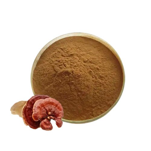 Reishi Extract (Ganoderma Extract)