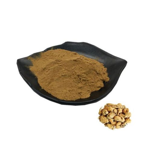 Maca Extract