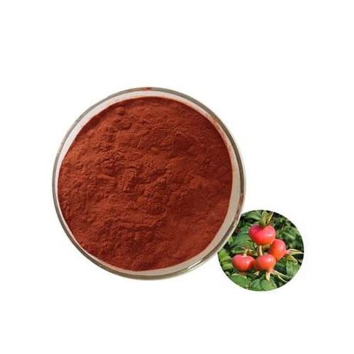 Rosehip Extract