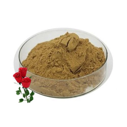 Rose Flower Extract