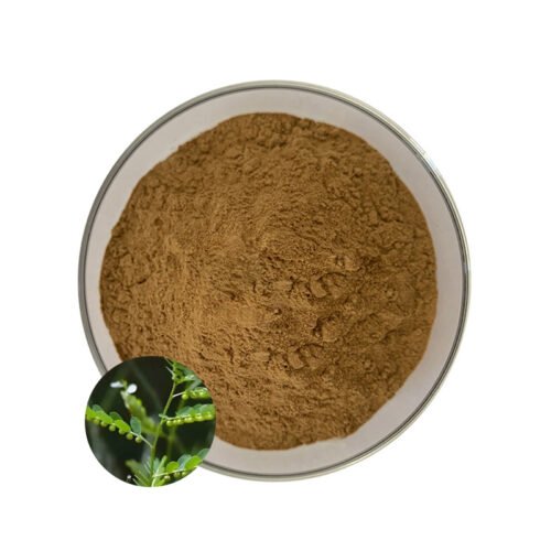 Phyllanthus Niruri Extract (Zhen Zhu Cao Extract)
