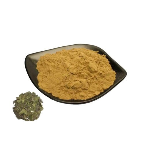 Salt-Processed Eucommia Bark Extract