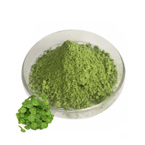 Centella Asiatica Powder (Gotu Kola Powder)