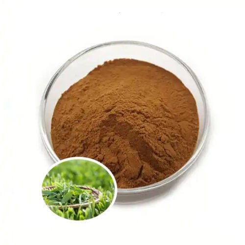 Green Tea Extract