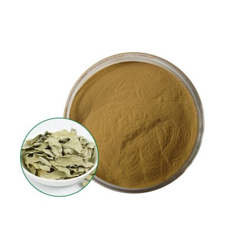 Apocynum Extract (Luobuma Extract)