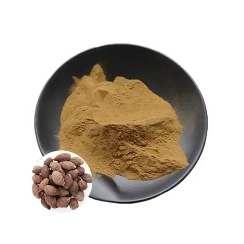 Malva Nut Extract (Pang Da Hai Extract)