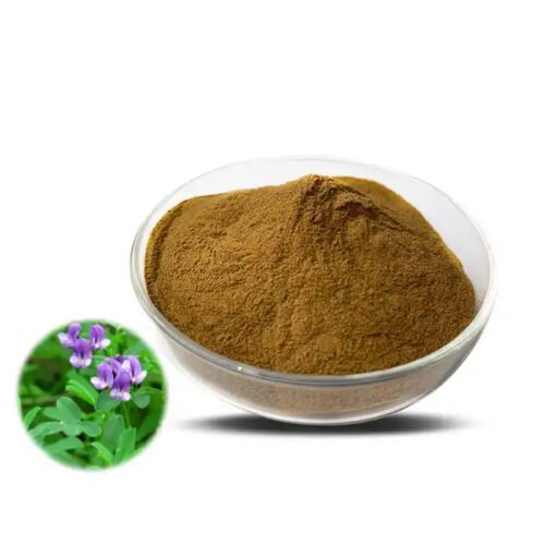 Alfalfa Extract