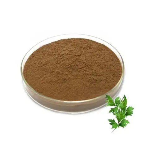 Wormwood Extract