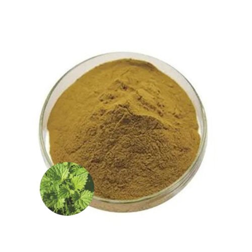 Nettle Extract