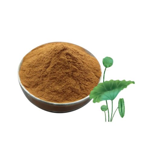 Lotus Leaf Extract