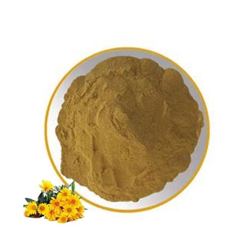 Chrysanthemum Extract