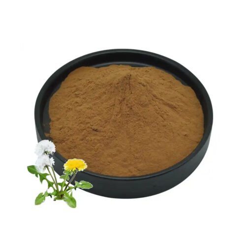 Dandelion Extract