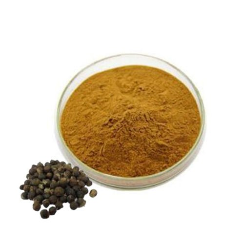 Vitex Fruit Extract (Man Jing Zi Extract)
