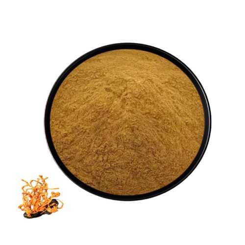 Cordyceps Militaris Extract