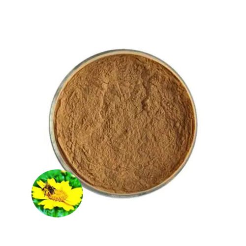 Lemon Balm Extract