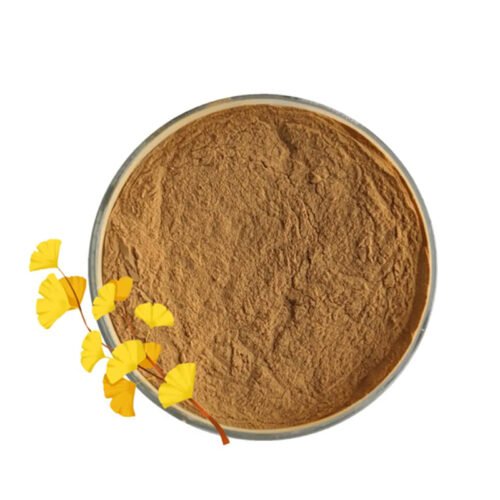 Ginkgo Leaf Extract