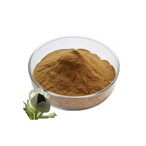 Snow Lotus Extract