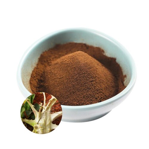 Devil's Claw Extract