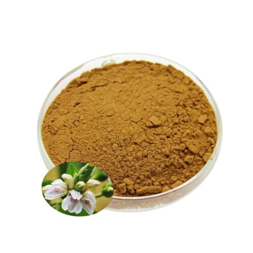 Malabar Nut Extract (Adhatoda Extract)