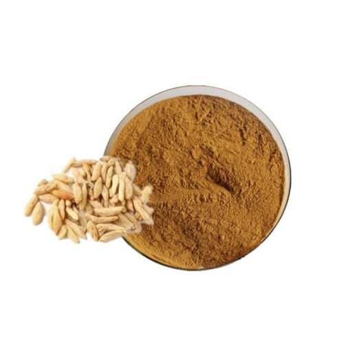 Ophiopogon Extract (Mai Dong Extract)