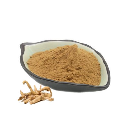 Polygonatum Extract (Huang Jing Extract)