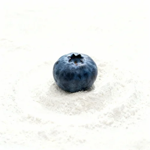Blueberry Flavor Powder