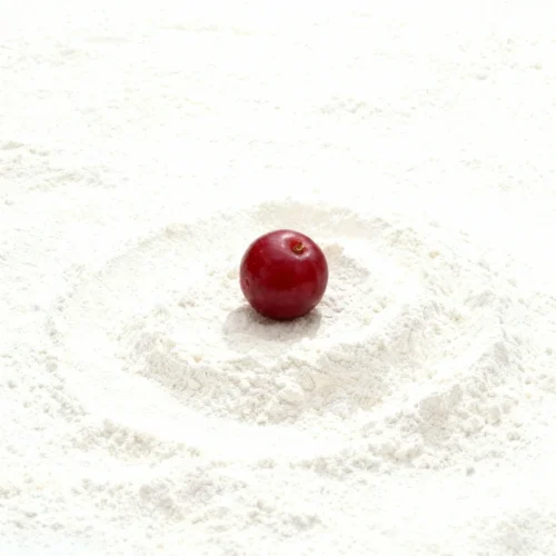 Cranberry Flavor Powder